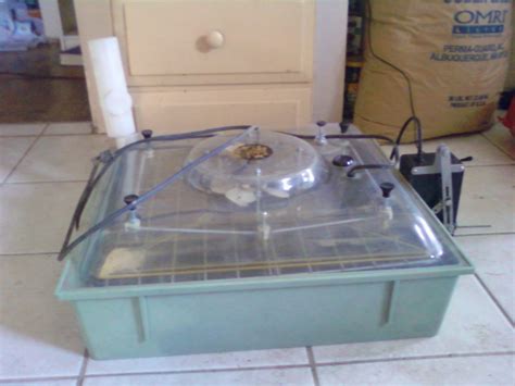 rolex egg incubator|marsh roll x egg incubator.